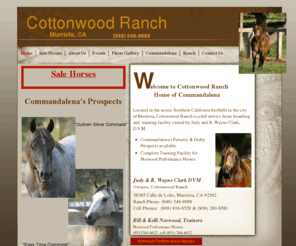 cottonwood-ranch.com: Home
Cottonwood-Ranch is a full service horse training facility in La Cresta, Murrieta, CA.  Please go to our website at www.cottonwood-ranch.com to see our breeding stock.