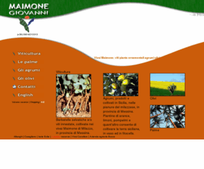 vivaimaimone.com: Vivaio Maimone a Milazzo
Azienda agricola che produce piante da vivaio nel rispetto delle norme comunitarie. Palme, ulivi, vitigni, agrumi, piante e viti americane sempre disponibili.