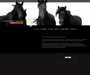 wildhorsesofsableisland.com: Wild horses of Sable Island - Mobile Project
The Wild Horses of Sable Island Mobile Project aims to inspire tomorrow’s leaders in emerging and developing countries about the importance of natural habitats and conservation. Our goal is to establish a network of Sable Island Kindergartens where children will be introduced the incredible story of the Wild Horses of Sable Island, through film, photography and storytelling.