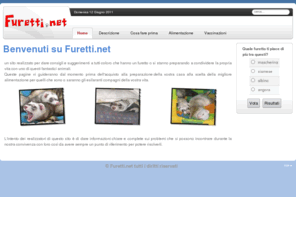 furetti.net: Benvenuti su Furetti.net
Sito dedicato alla conoscenza del furetto e alla sua cura. Una guida utile da seguire prima e dopo aver fatto entrare nella propria vita un furetto.