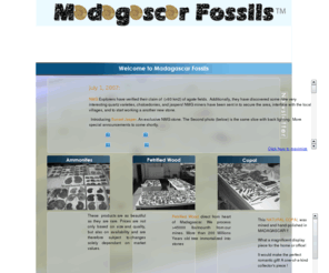 madagascarfossils.com: madfossilhome
