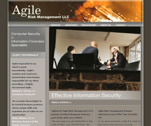 agilerm.net: Agile Risk Management LLC 
