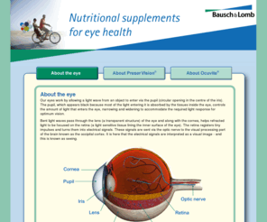 ocuvite.co.uk: Nutritional supplements for eye health | About the eye
The latest information about nutritional eye supplements, PreserVision and Ocuvite,brought to you by Bausch & Lomb, global experts in eye health.