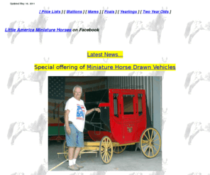 littleamericaminis.com: Little America Home
Some of the world's tiniest miniature horses roam the hills of Little America Miniature Horses in Buda, Texas.  A family owned miniature horse breeding operation specializing in quality show and breeding animals with outstanding pedigrees and fabulous color and conformation.