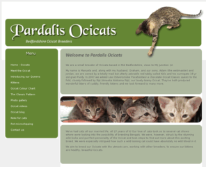 ocicats.org: Ocicats - Information and resources from Pardalis Ocicats, UK breeders
Ocicat information and resources from Pardalis Ocicats - UK Ocicat breeders