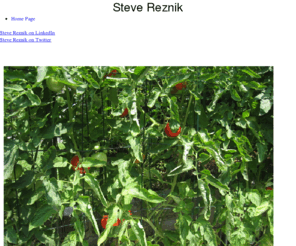 stevereznik.com: Home Page
Home Page