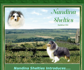 nandinashelties.com: Nandina Shelties
Showing and Raising Quality Shelties