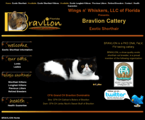 wingsnwhiskers.com: Exotic Shorthair >  Exotic Shorthair Kittens
Bravlion Cattery, a Florida exotic shorthair cat breeder, features show quality exotic shorthair kittens for sale. Shipping available.