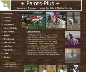 paints-plus.com: Paints-Plus
Paints-Plus:  Lessons, Horses for Sale, Palomino Paint Stallion BSR Master Lock