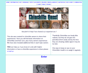 chinquest.co.uk: Chinchilla Quest sharing/learning by experience
Information and a chance for  chinchilla owners to share their pets experiences