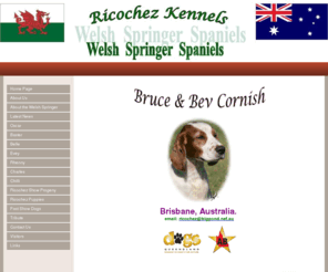 ricochezkennels.com: Ricochez Welsh Springers
Ricochez Welsh Springer Spaniels