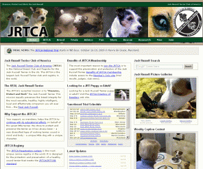 therealjackrussell.com: Jack Russell Terrier - JRTCA - Jack Russell Terrier Club of America Home Page
Jack Russell Terrier Club of America Web Site - JRTCA Terrier trials, Bad Dog Talk, Online Profiler, Advice, Picture Galleries, Caption Contest, Stories, Breed Standard, Books, Training and Question and Answer forum, Russell Rescue, Russell Refuge, Gift Store