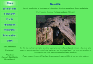 michaellegner.net: Michael Legnér - My Loricariidae and Corydoras catfish
Michael Legnér - My Loricariidae and Corydoras catfish, a website with my fish and plants