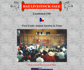 razlivestock.com: Raz Livestock Sales
A monthly auction selling exotic and domestic livestock.