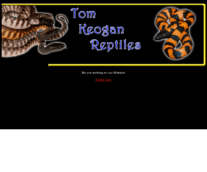 axanthicblackheadedpython.com: Tom Keogan Reptiles
