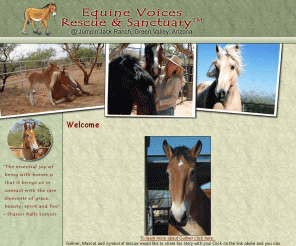 equinevoices.org: Equine Voices Rescue & Sanctuary @ Jumpin' Jack Ranch, Green Valley, Arizona
Equine Voices Rescue & Sanctuary, Inc. is a
non-profit organization dedicated to saving Premarin (PMU) mares and foals from
slaughter. We are a voice for the many equines that cannot speak for themselves,
working to end horse slaughter in the United States, and ultimately the world.
Through education, we are confident we can enlighten the public about the horrors
behind the premarin industry and horse slaughter, and be a catalyst for change
so these noble animals may finally live a life without abuse, pain and suffering.