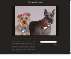 stricklandstudio.com: Strickland Studio
At Strickland Studio, we want you to have fun! We know that a portrait session can be -- to put it mildly -- stressful, and so often that's reflected. I'm Donnie Strickland, and I'd be happy to serve your portrait needs. We can handle groups of up to 6 people, and pets are welcome. 279 Lake View Circle, Riverside, Alabama 35135, United States