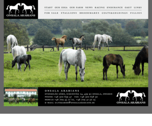 onsalaarabians.com: Onsala Arabians - Arabiska Fullblod / Arabian Horses
Onsala Arabians - Arabian studs in Sweden