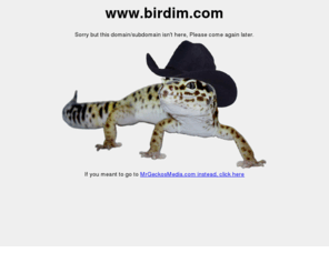 birdim.com: Mr. Gecko's Media
This is Mr. Gecko's Official Website for his company Mr. Gecko's Media. Mr. Gecko's Media makes Applications, and Websites