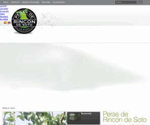 perasderincondesoto.com: DOP Peras de Rincón de Soto
La pera de Rincón de Soto obtuvo en 2002 el reconocimiento como Denominación de Origen Protegida, convirtiéndose en la primera fruta de este tipo en contar con esta distinción.