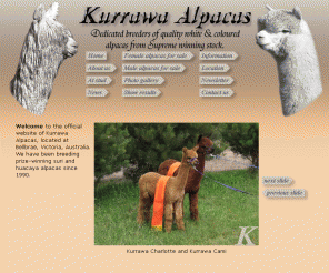 kurrawa.com.au: Kurrawa Alpacas - Welcome
Official website of Kurrawa Alpacas