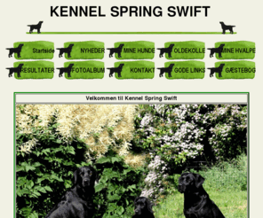 springswift.dk: KENNEL SPRING SWIFT
