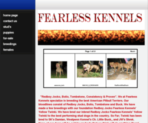 Game bred American pit bull terriers.