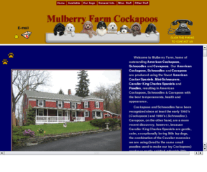 mulberry farms cockapoo