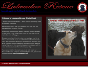 labrador-rescue.net: Labrador Rescue : Rescue Centre for Labrador Retrievers based in Eccleston
Labrador Rescue, Dedicated labrador breed rescue rehoming over 400 Labradors a year