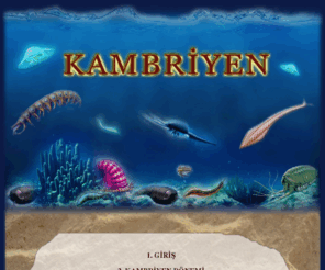 kambriyenvedarwin.com: KAMBRİYEN
