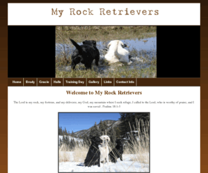 myrockretrievers.com: My Rock
My Rocket Retrievers