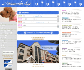 motomachi-dog.com: MOTOMACHI DOG
モトマチドッグは、元町商店街で唯一のペットショップです
