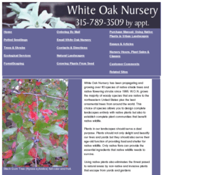 whiteoaknursery.biz: White Oak Nursery, Native Trees & Shrubs
White Oak Nursery, specializing in native trees and shrubs of New York.  Root cultured potted seedlings, 
technical advice on woodland gardening, wildlife plants, native landscaping.