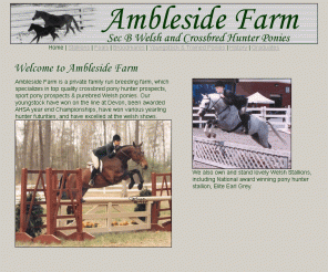 amblesidefarm.com:  Ambleside Farm 
Welsh Pony Farm