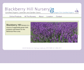 blackberryhillnursery.com: Certified Organic - Lavender - Herbs - Flowers - Blackberry Hill Nursery - Carol Black - Leaburg - Oregon - OTCO
Blackberry Hill Herb Farm grows and sells certified organic lavender and herb starts. During the summer, you can find us at Saturday Market in Eugene, Oregon or out at the farm in Leaburg on weekends.