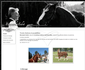 chevauxbretons.com: Moussard André - Eleveur de chevaux bretons - Accueil
Moussard André, éleveur de chevaux bretons, trait et postier, propose toute l'année étalons et pouliches.