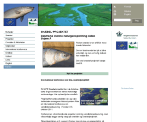 snaebel.dk: LIFE Snæbelprojektet - SNÆBEL-PROJEKTET
Danmarks største naturgenopretning siden
Skjern ÅFisken snæbel er en af EU's mest truede fiskearter.
Den er faretruende tæt på at blive udryddet, og kun en hurtig indsats kan redde den.