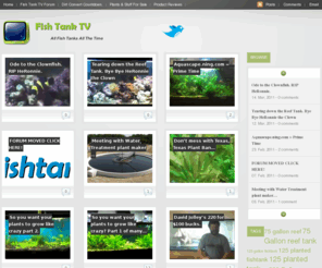 dustinsfishtanks.com: Dustin's Fishtanks | Dustin's Fishtanks
Dustin's Fishtanks