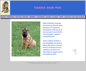 tianxia-sharpeis.com: Tianxia SharPeis - La web del SharPei
