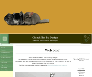 chinchillasbydesign.net: Chinchillas By Design
Chinchillas By Design, located in Northern Indiana is  a small hobby breeder striving to breed strong, healthy, show quality chinchillas. 