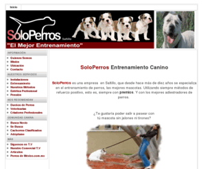 soloperros.com.mx: Entrenamiento Perros
escuela de adiestramiento y estetica profesional