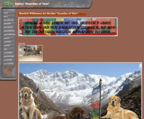 dokhyi-guardian-of-tibet.de: Dokhyi "Guardian of Tibet" Der große tibetischer Familien & Wachhund.
  Do-khyi Welpen in Burgsinn, zwischen Spessart und Rhön. Eine der seltensten Familien und Wachhunde der Welt. Mit Gesundheitszeugnis aus Familien Aufzucht und bester Sozialisierung.