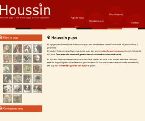 houssin.be: Houssin, specialisten in pups van rashonden
De mooiste honden met 2 jaar garantie.