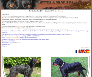 setter-gordon.fr: Setter Gordon - Portée Octobre 2010
Portée de chiots LOF Setter Gordon de haute lignée à vendre, nés en octobre 2010 - Vénus de la petite querrière - Tarmac du clos de la capitainerie