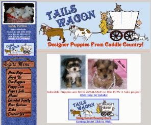 tailswagon.com: Teacup Puppies Toy Puppies Designer Tea Cup Puppies Designer
Dog Breeders
Tails Wagon is a responsible breeder of healthy, home raised toy puppies and teacup puppies for loving, responsible puppy buyers. We offer Malti-poo, Yorkie-poo, Chi-poo, Miniature Dachshunds, Doxie-poos, Chin-poos, Pekeapoos, Yorkese, Miniature Bulldogs, English Bulldogs, Miniature Pugs, Broodle Griffons and more. World wide shipping available