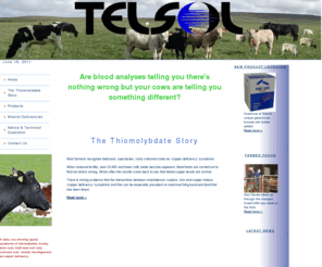 telsol.co.uk: Untitled Document
