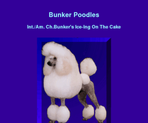 Bunker Poodles for Poodle Puppies, Poodles for Sale, AKC Standard ... Bunker Poodles for Poodle Puppies, Poodles for Sale, AKC Standard ...