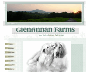 glenfinnanfarms.net: Glenfinnan Farms...Golden Retrievers
Breeders since 1990, we strive to produce English Type Golden Retrievers of quality and soundness; home raised with constant CARE & LOVE.