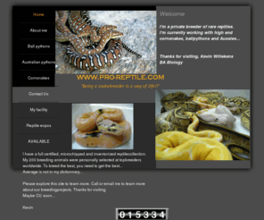 pro-reptile.com: Home
PRO REPTILE
I'm a private Belgian breeder of rare snakespecies. I'm currently working with high end cornsnakes, ballpythons, australian pythons. 
Pro- Reptile
Belgische slangenkweker, zeldzame soorten en kleurmutaties, korenslangen, koningspythons, australische pythons, zwartkoppen