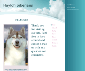 haylohsiberians.com: Hayloh Siberians - Welcome!
 